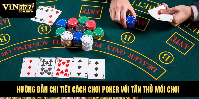 Hướng Dẫn Chi Tiết Cách Chơi Poker Với Tân Thủ Mới Chơi 10 Cách Chơi Poker