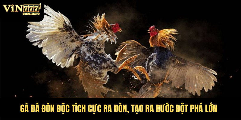 Gà Đá Đòn Độc Tích Cực Ra Đòn, Tạo Ra Bước Đột Phá Lớn 2 gà đá đòn độc